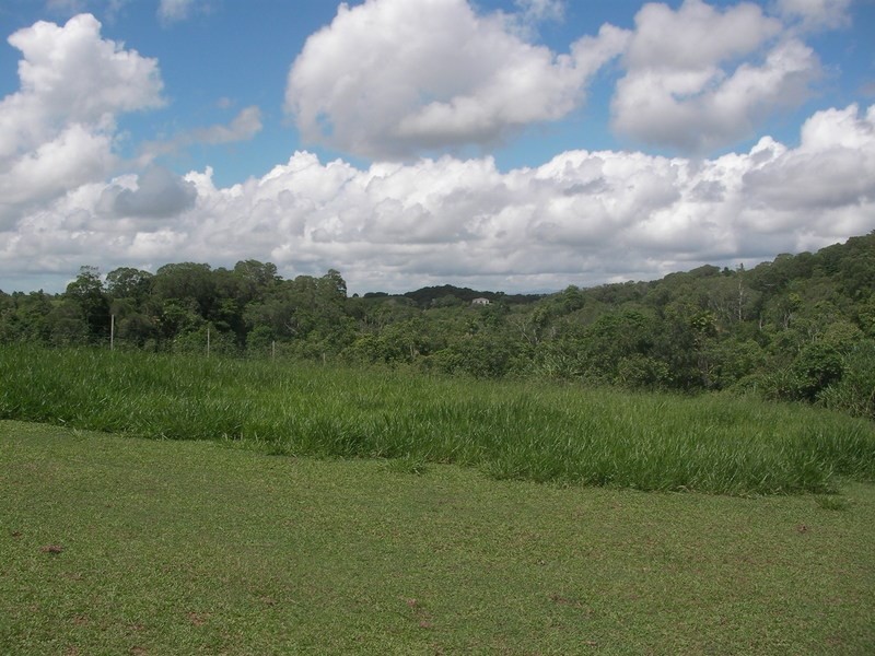 102 Eubenangee Road, Eubenangee QLD 4860