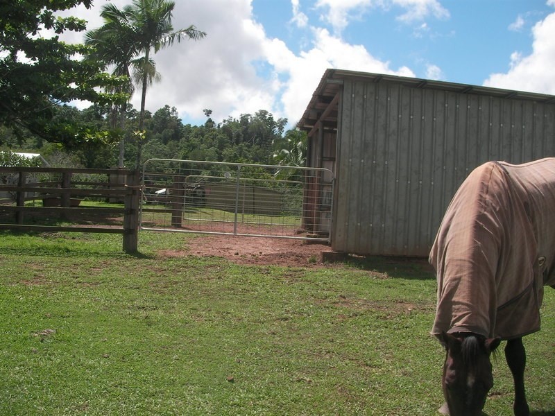 102 Eubenangee Road, Eubenangee QLD 4860