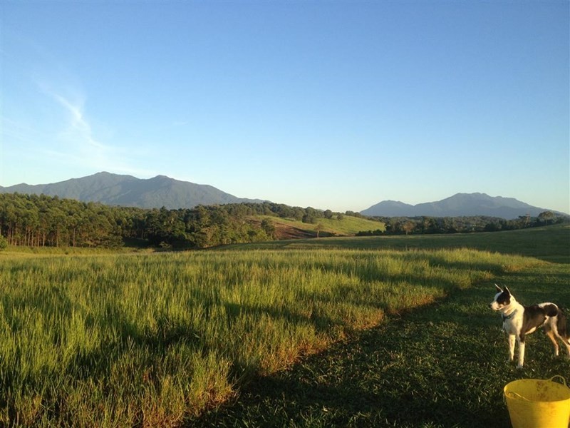 Lot 5 Bruce Highway, Vasa Views QLD 4860