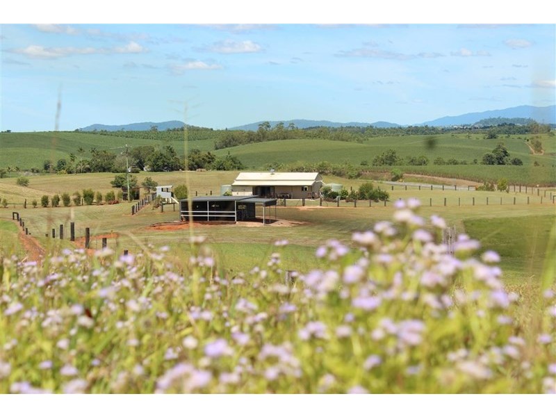 Lot 5 Bruce Highway, Vasa Views QLD 4860