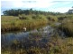 Lot 5 Bruce Highway, Vasa Views QLD 4860