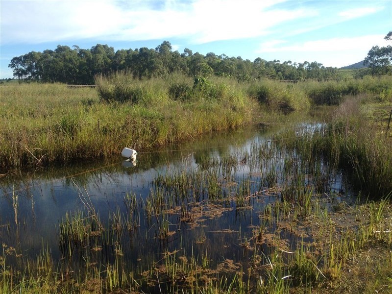 Lot 5 Bruce Highway, Vasa Views QLD 4860
