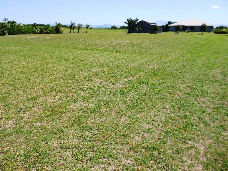 L21 Jabiru, Etty Bay QLD 4858