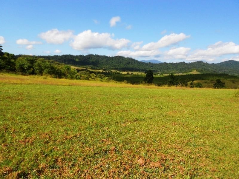 273 DONKIN Road, Mena Creek QLD 4871