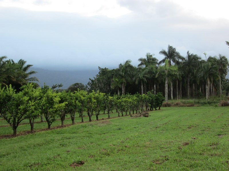 359 Kruckow Road, East Russell QLD 4861