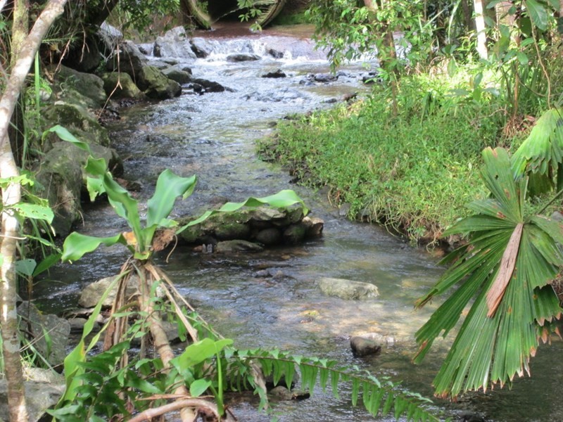 359 Kruckow Road, East Russell QLD 4861