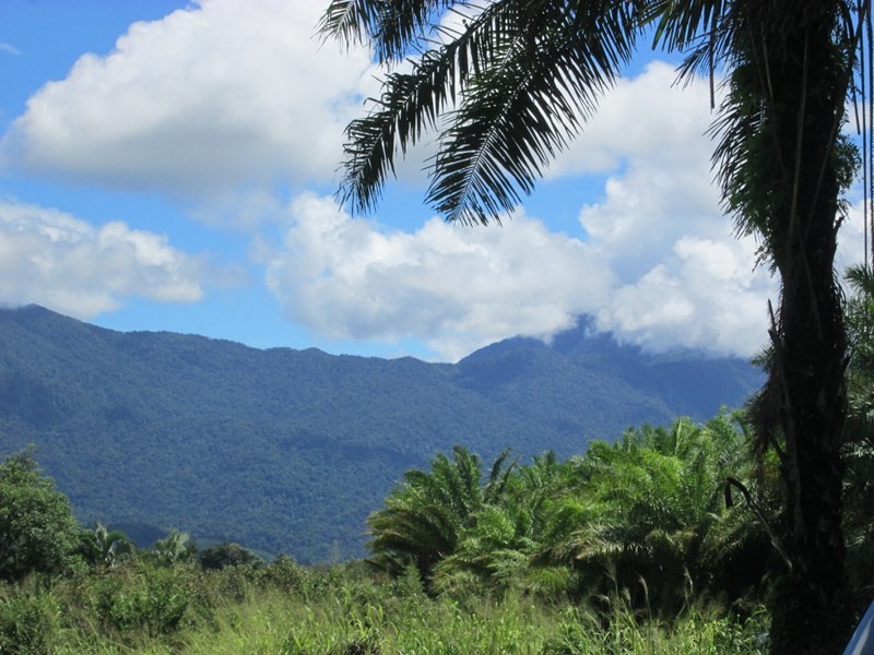 359 Kruckow Road, East Russell QLD 4861