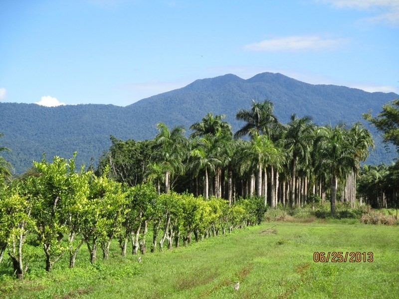 359 Kruckow Road, East Russell QLD 4861