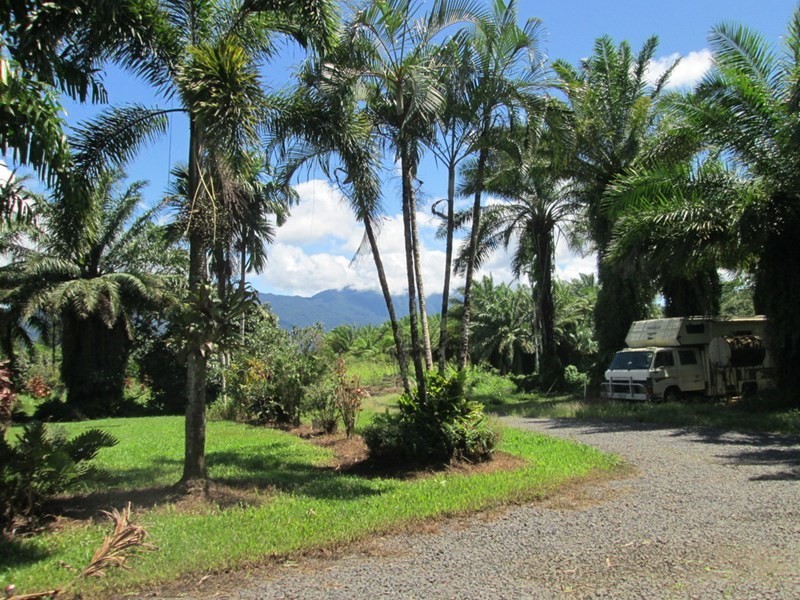 359 Kruckow Road, East Russell QLD 4861