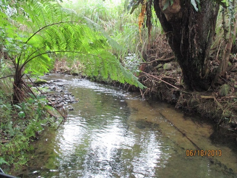 359 Kruckow Road, East Russell QLD 4861