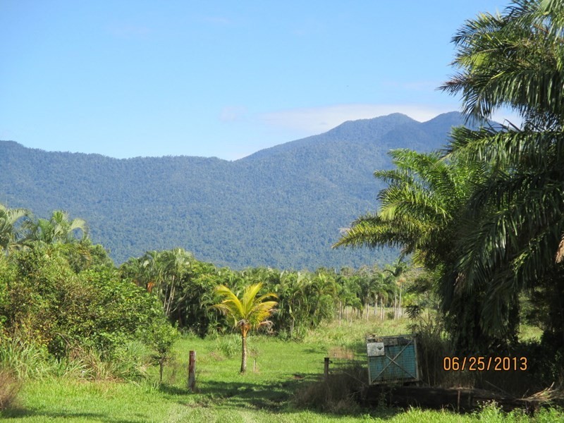 359 Kruckow Road, East Russell QLD 4861