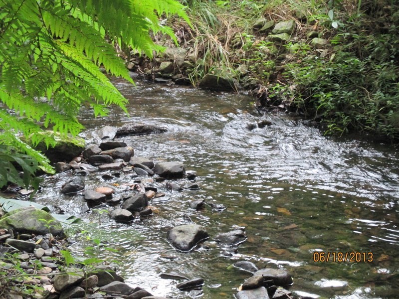 359 Kruckow Road, East Russell QLD 4861