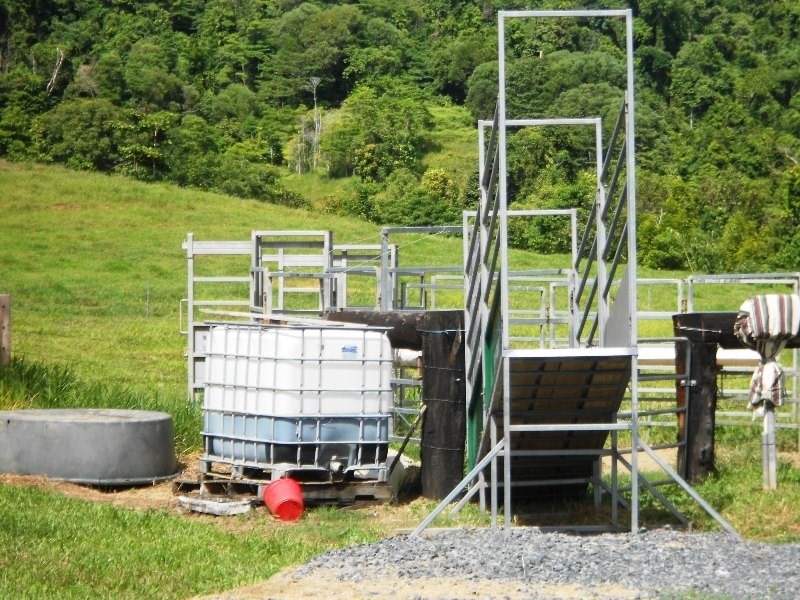 541 Mena Creek, Mena Creek QLD 4871