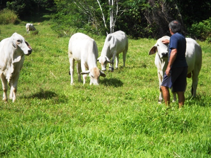 541 Mena Creek, Mena Creek QLD 4871