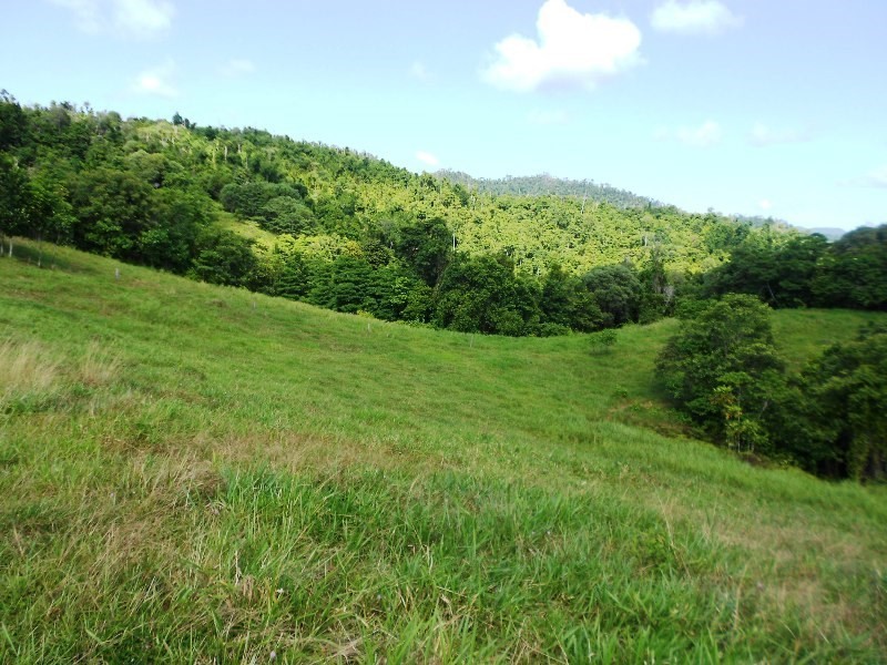 541 Mena Creek, Mena Creek QLD 4871