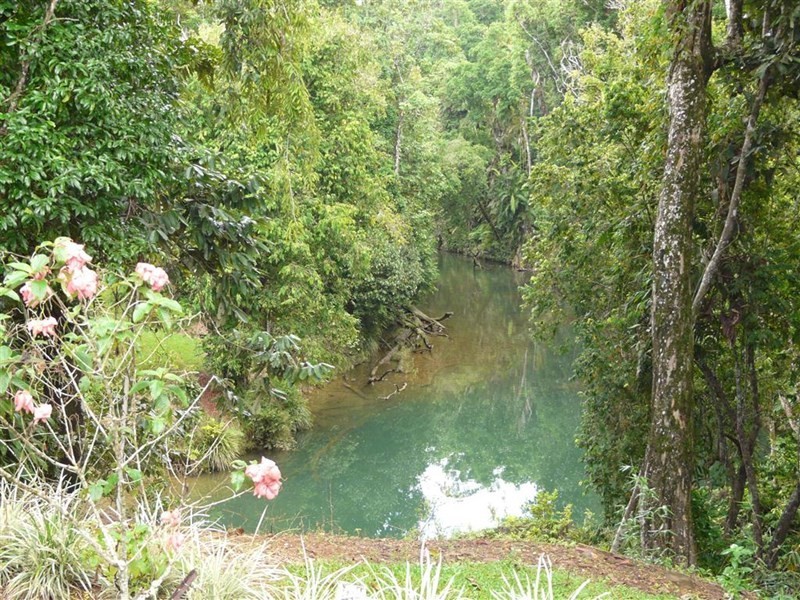 550 Cooroo Lands Road, Cooroo Lands QLD 4860