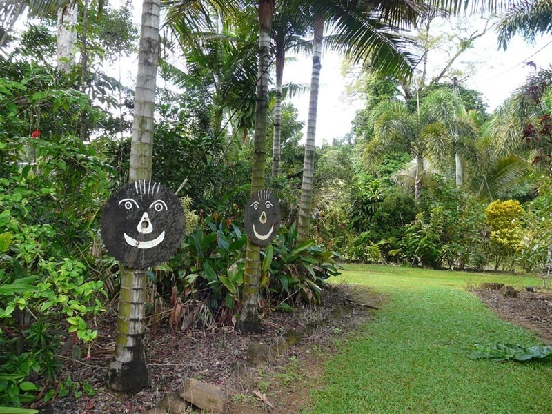 550 Cooroo Lands Road, Cooroo Lands QLD 4860