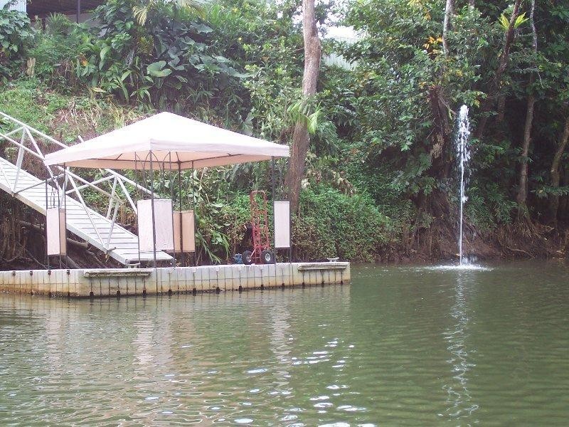 14 Kookaburra Close, Innisfail QLD 4860