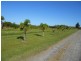 Lot 69 Louis Road, South Innisfail QLD 4860