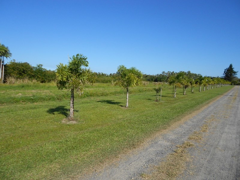 Lot 69 Louis Road, South Innisfail QLD 4860