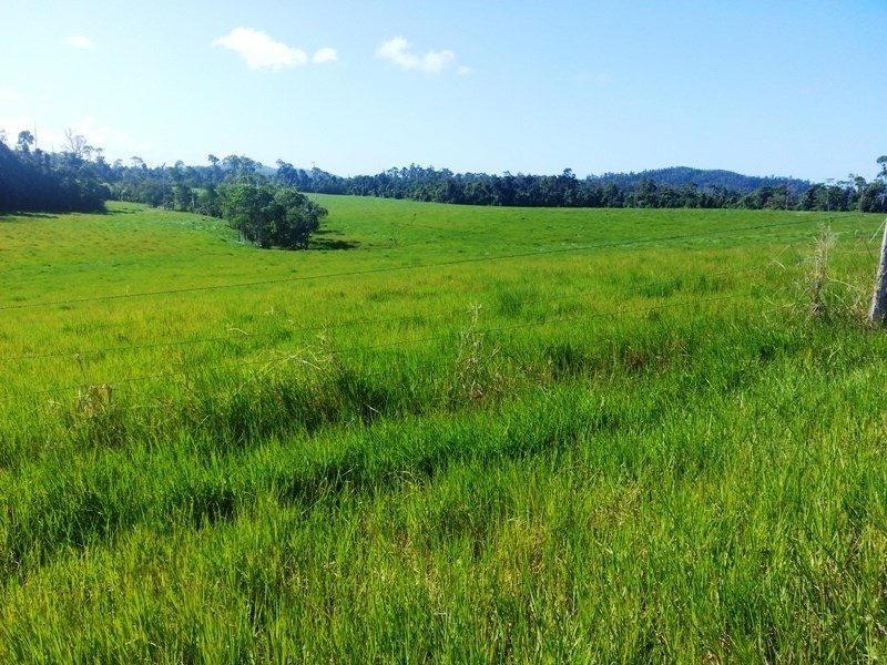 Granadilla QLD 4855