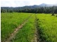 Granadilla QLD 4855