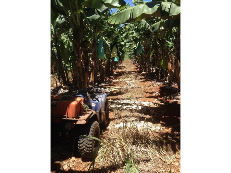 80 UTCHEE CREEK Road, Utchee Creek QLD 4871