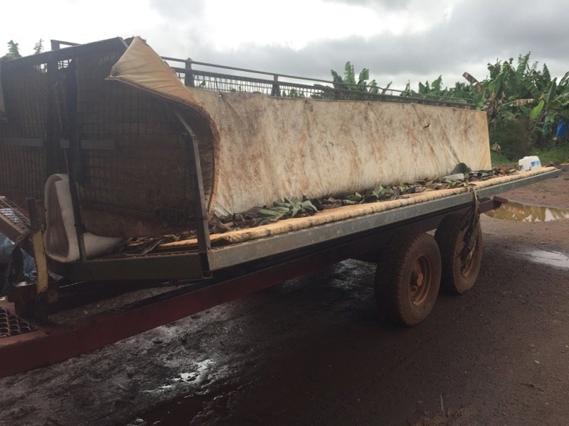 80 UTCHEE CREEK Road, Utchee Creek QLD 4871