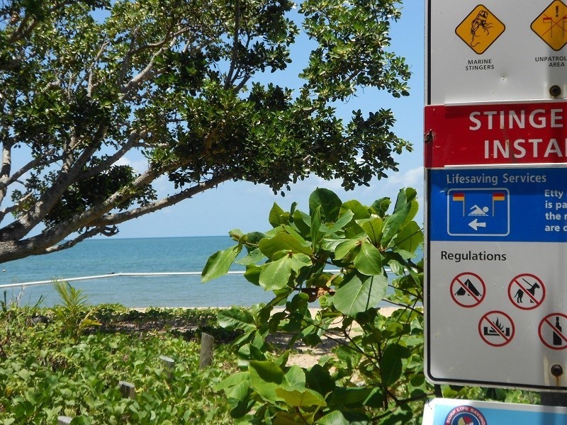 5 Robert Johnstone Parade, Kurrimine Beach QLD 4871