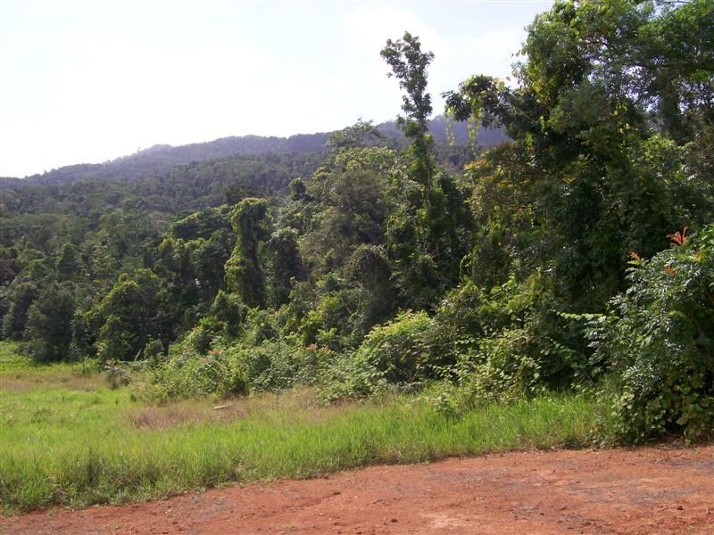 Lot 9 Rainforest Drive, Jubilee Heights, Innisfail QLD 4860