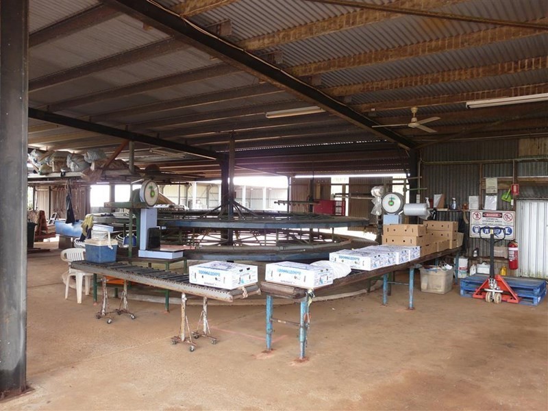 Lots Eubenangee and McCowatt Road, Eubenangee QLD 4860