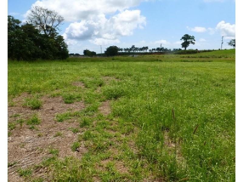 Lot 1 SHAW Road, O’briens Hill QLD 4860