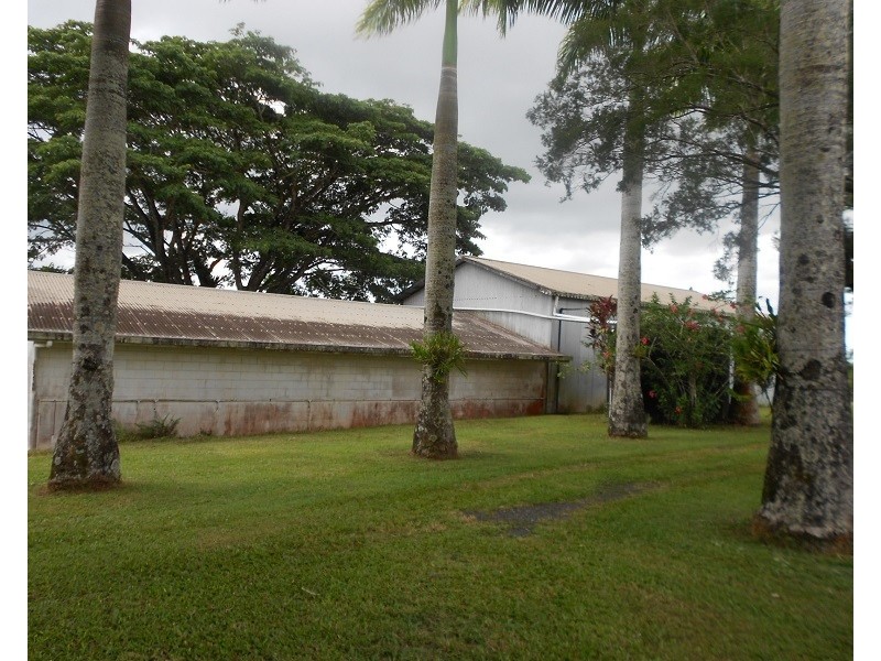 115 Daly, Camp Creek QLD 4871