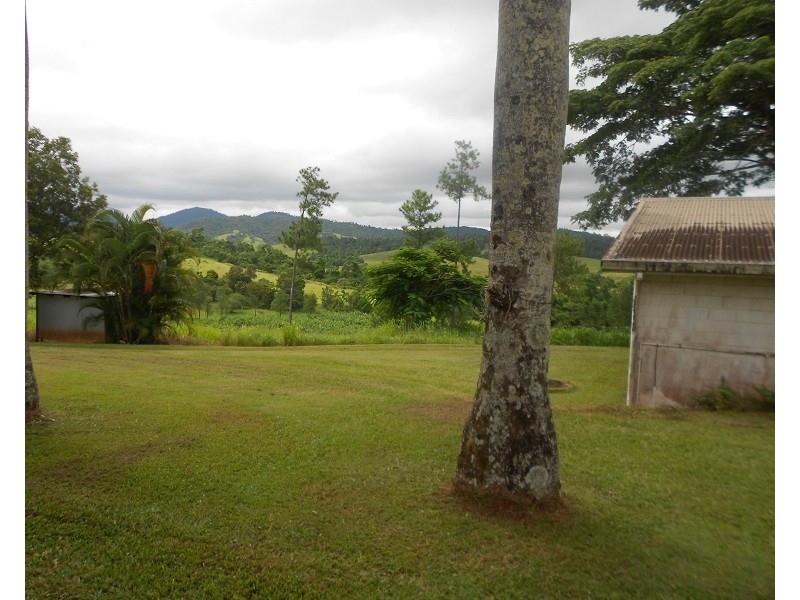 115 Daly, Camp Creek QLD 4871