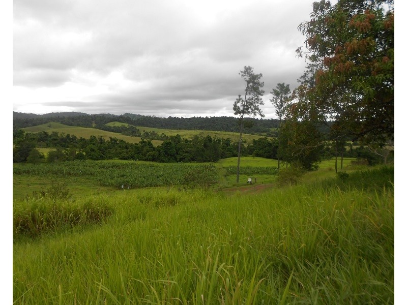 115 Daly, Camp Creek QLD 4871