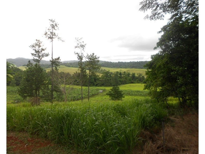 115 Daly, Camp Creek QLD 4871