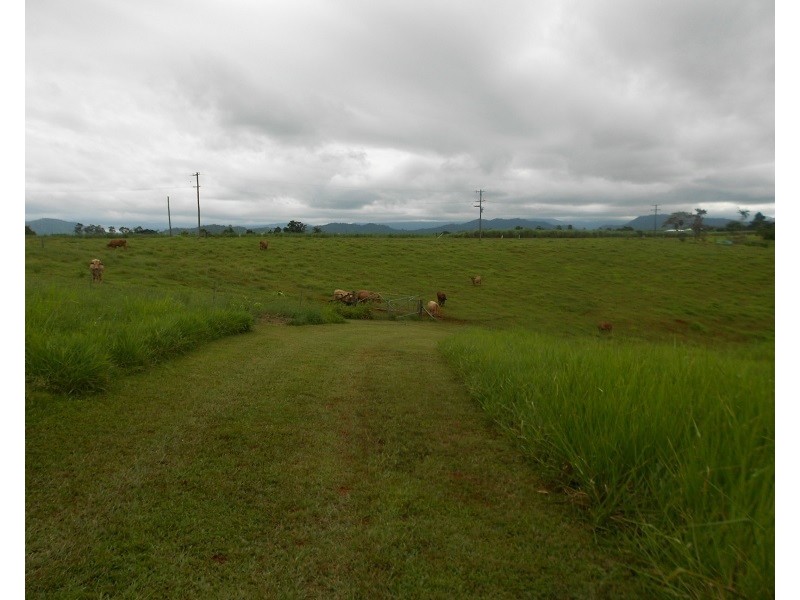 115 Daly, Camp Creek QLD 4871