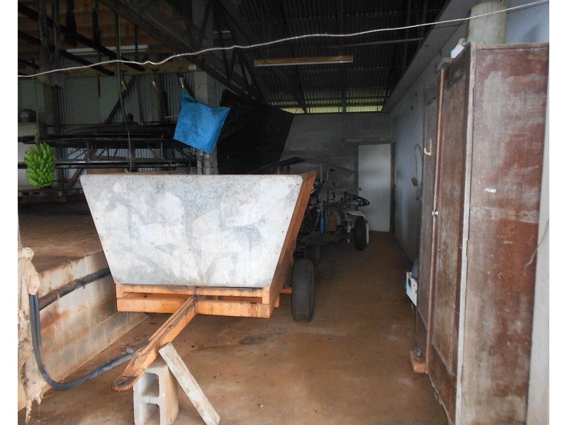 115 Daly, Camp Creek QLD 4871