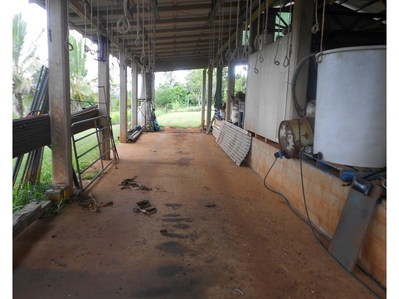 115 Daly, Camp Creek QLD 4871