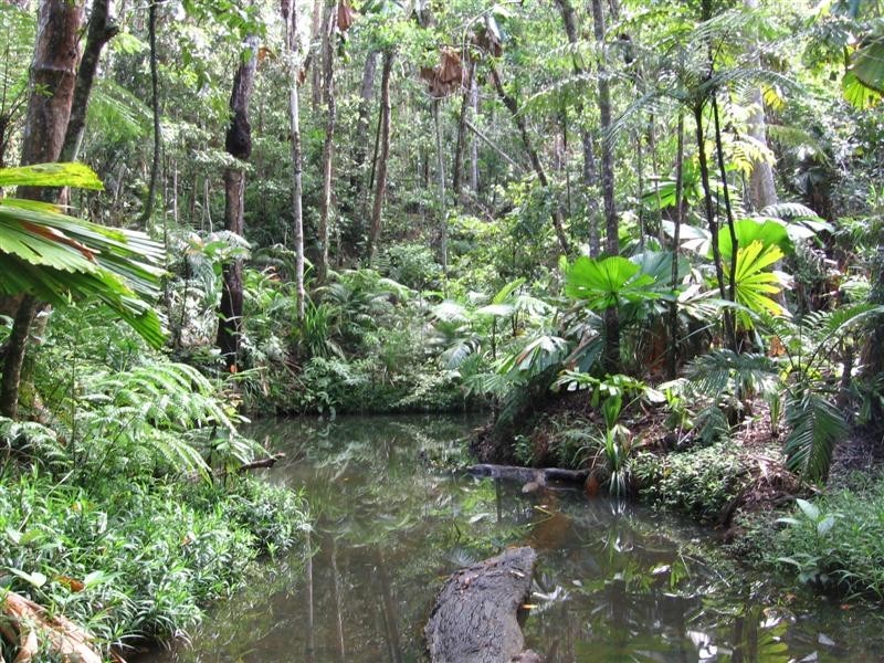 52 Waterfall Place, Innisfail QLD 4860