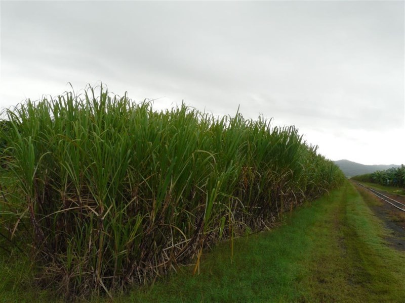 Lot 1 Old Ferry Road, Sundown QLD 4860