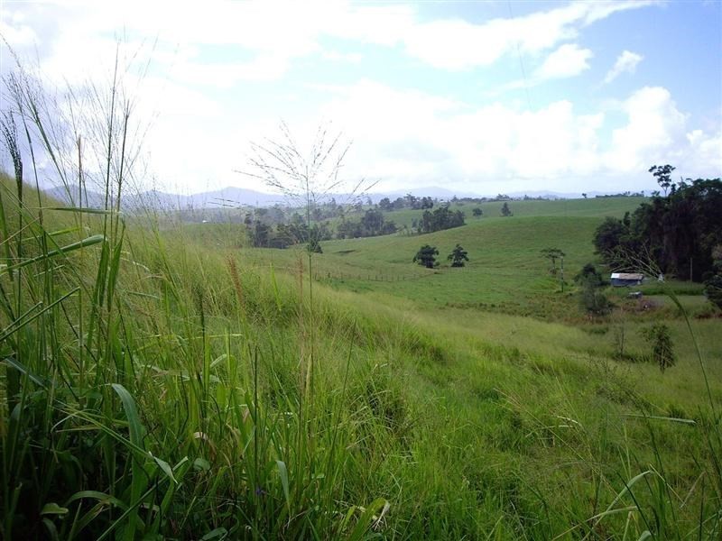 1964 Palmerston Highway, East Palmerston QLD 4860