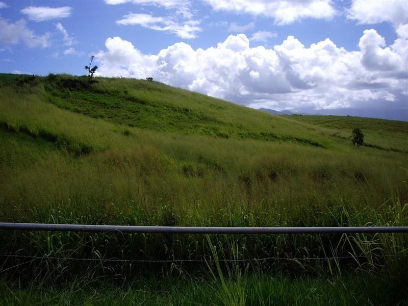 1964 Palmerston Highway, East Palmerston QLD 4860