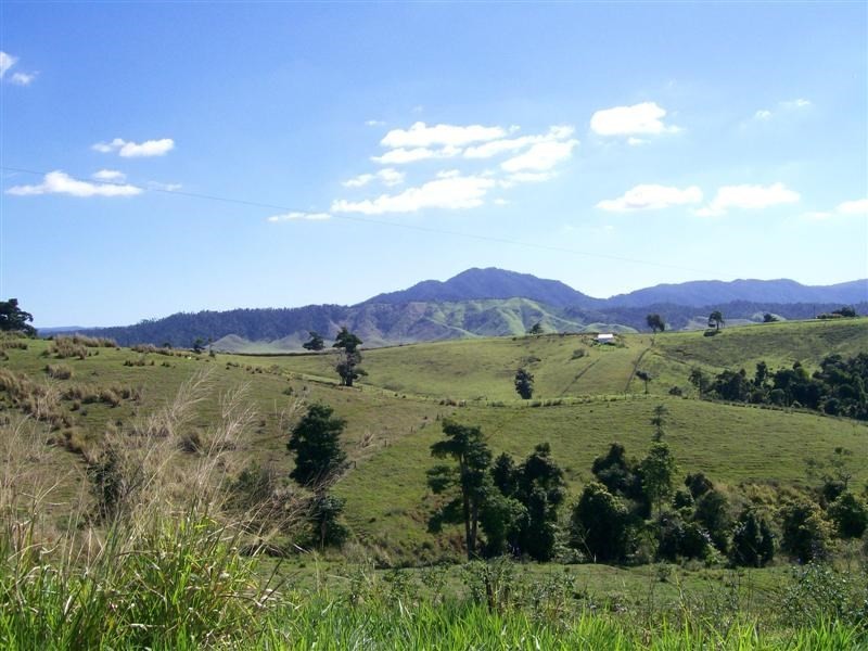 1964 Palmerston Highway, East Palmerston QLD 4860