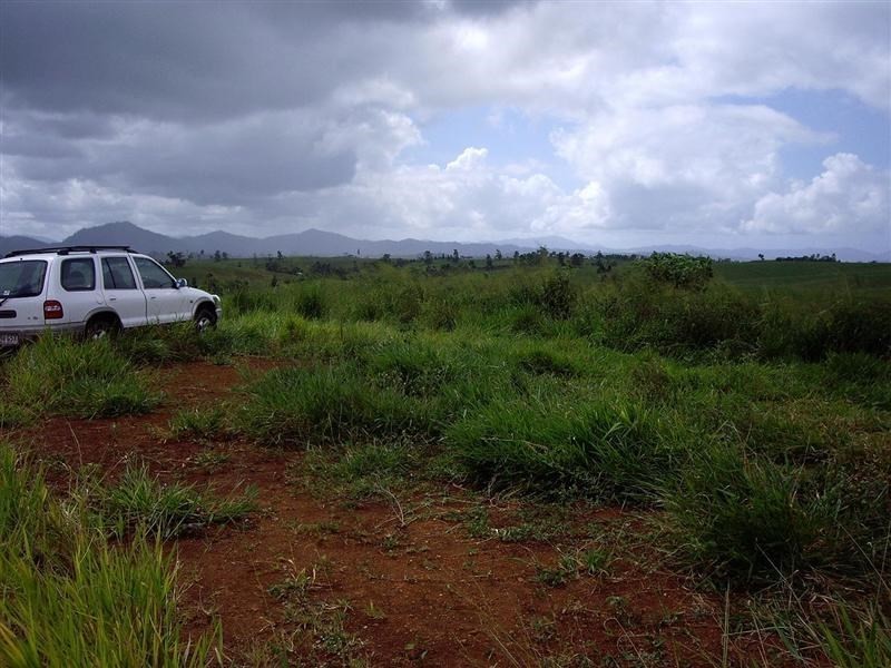 1964 Palmerston Highway, East Palmerston QLD 4860