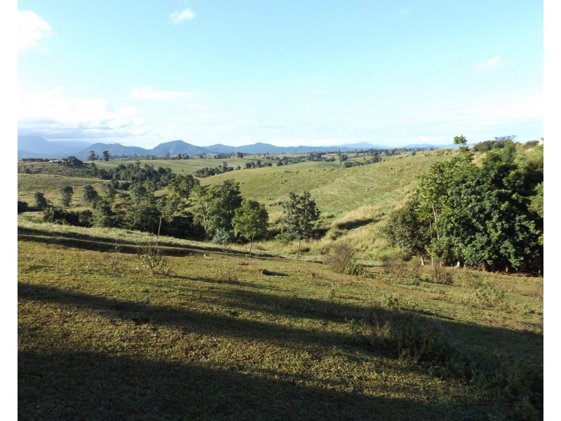 2008 Palmerston Highway, East Palmerston QLD 4860