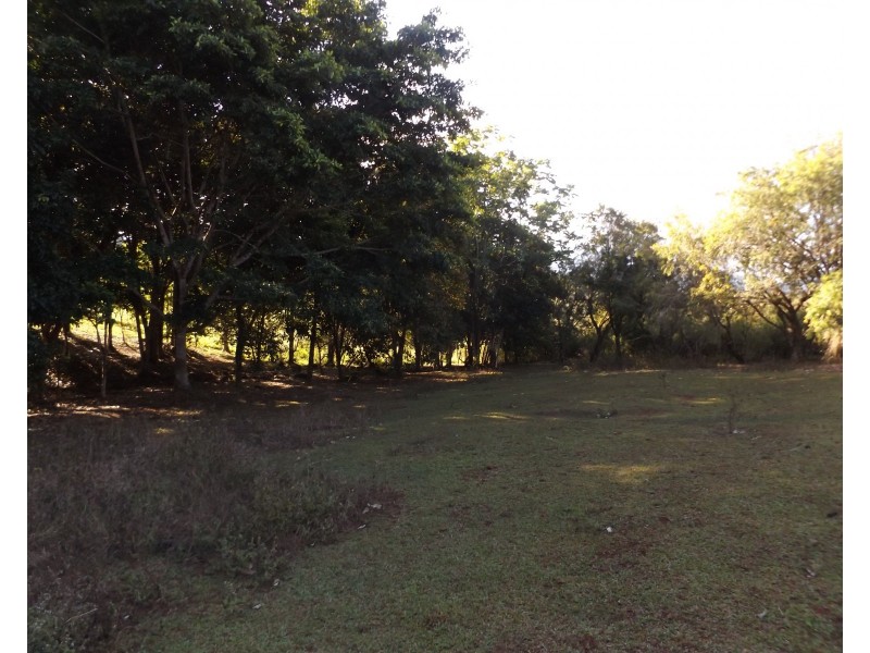 2008 Palmerston Highway, East Palmerston QLD 4860