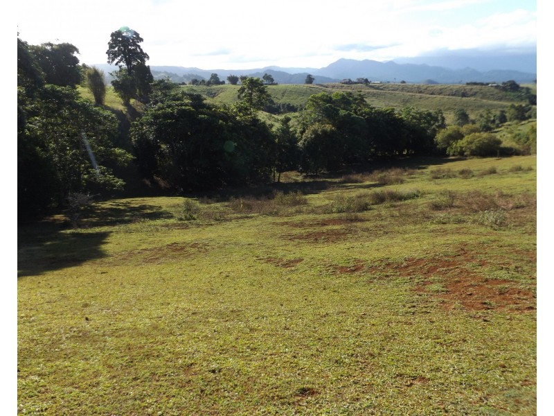 2008 Palmerston Highway, East Palmerston QLD 4860