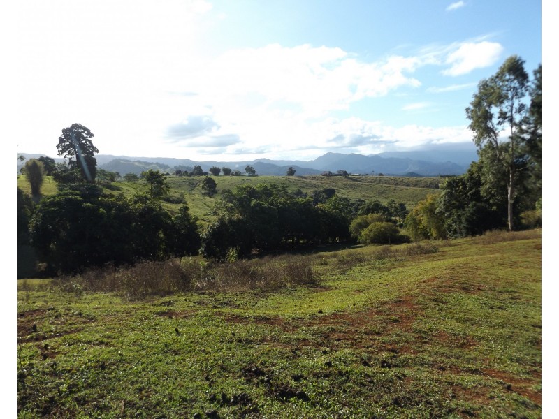 2008 Palmerston Highway, East Palmerston QLD 4860