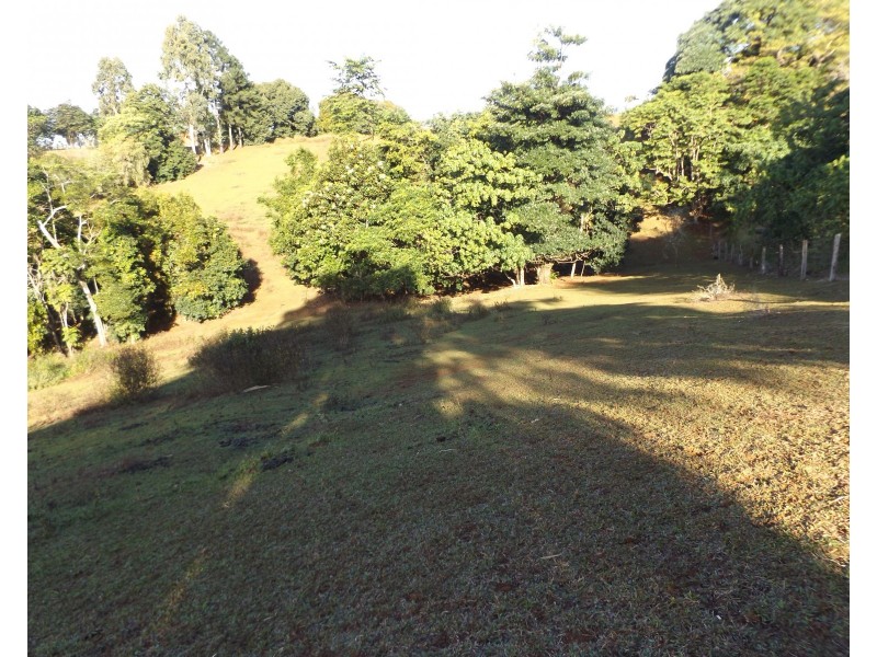 2008 Palmerston Highway, East Palmerston QLD 4860